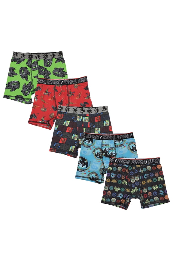 How To Train Your Dragon Boy's 5-Pack Boxer Briefs-10