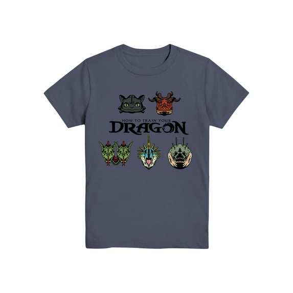 How To Train Your Dragon, Boys' & Big Boys' Graphic T-Shirt, Dragons, Sizes 4-20