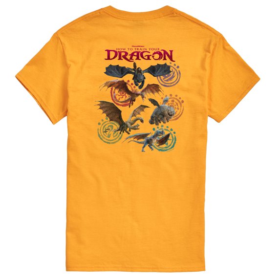How To Train Your Dragon - Dragon Grid - Men's Short Sleeve Graphic T-Shirt