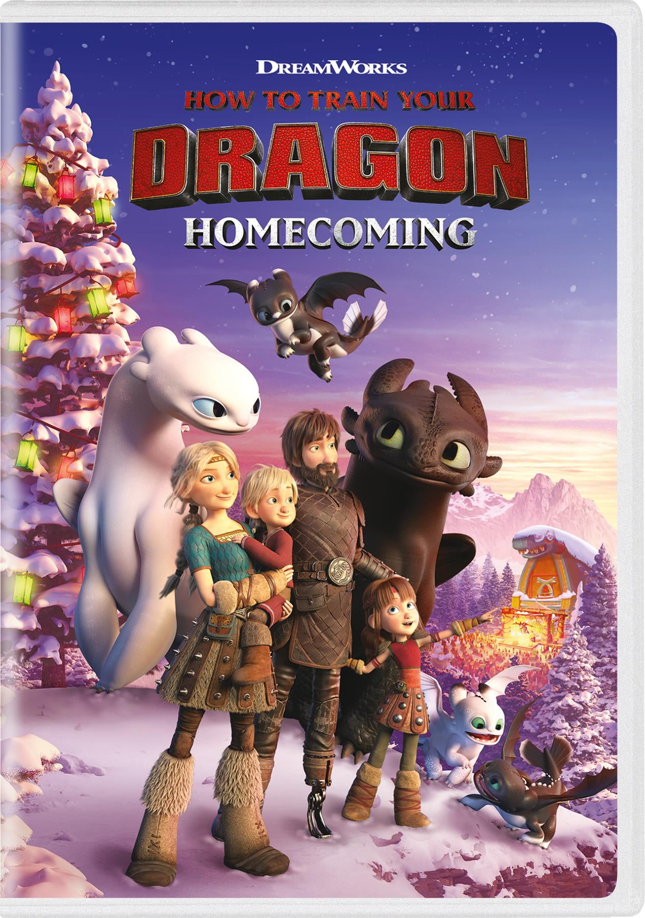 UNIVERSAL PICTURES HOME ENTERTAINMENT; TIM JOHNSON; JONATHAN GROFF How to Train Your Dragon Homecoming [DVD]
