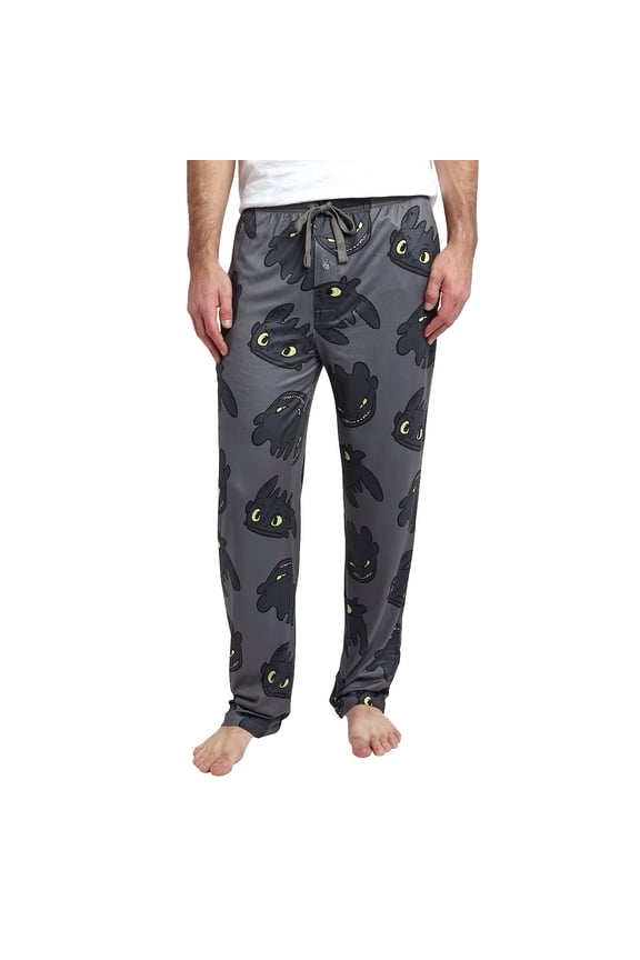 How To Train Your Dragon Toothless All-Over Print Men's Sleep Pajama Pants -Large