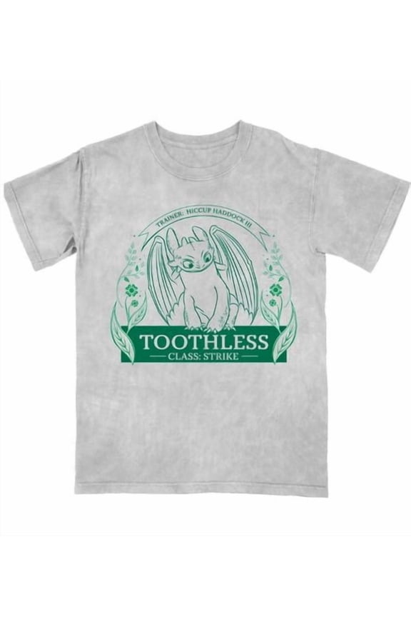 How To Train Your Dragon Toothless Leaf Circle Women's Gray Mineral Wash Crew Neck Short Sleeve T-shirt-Large