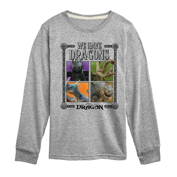 How To Train Your Dragon - We Have Dragons - Toddler And Youth Long Sleeve Tee