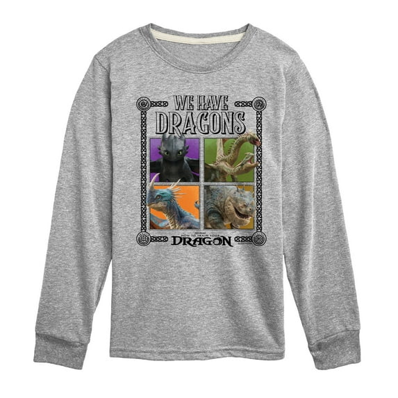 How To Train Your Dragon - We Have Dragons - Toddler And Youth Long Sleeve Tee