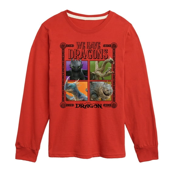 How To Train Your Dragon - We Have Dragons - Toddler And Youth Long Sleeve Tee