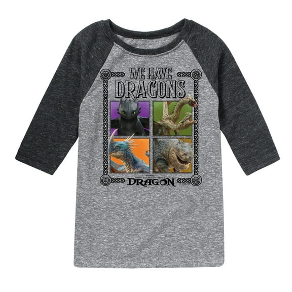 How To Train Your Dragon - We Have Dragons - Toddler And Youth Raglan