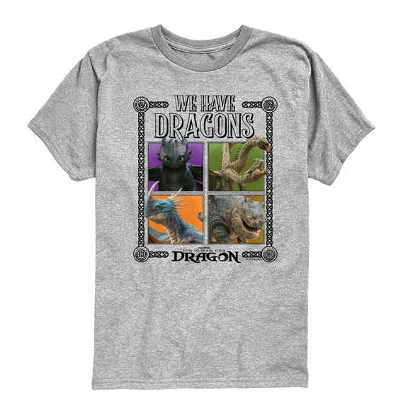 How To Train Your Dragon - We Have Dragons - Toddler And Youth Short Sleeve Tee