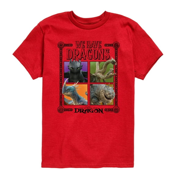 How To Train Your Dragon - We Have Dragons - Toddler And Youth Short Sleeve Tee