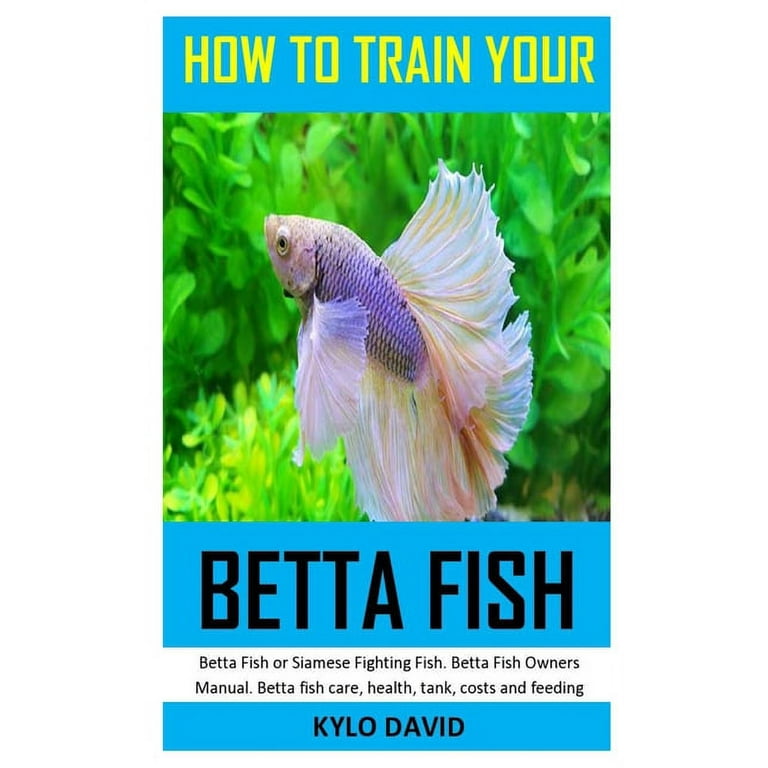 Betta fish cost walmart outlet