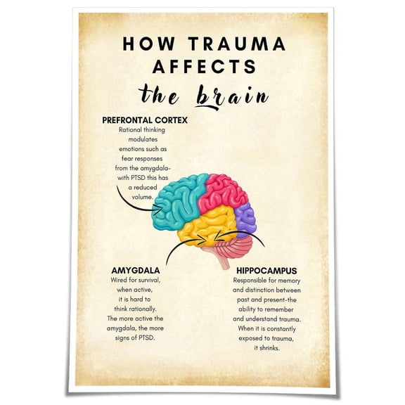 How Trauma Affects The Brain Poster Therapy Office Decor Mental Health Wall Art Positive Posters Art Oil Painting Canvas Panels