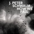 thumbnail image 1 of How We Fall (Vinyl), 1 of 1
