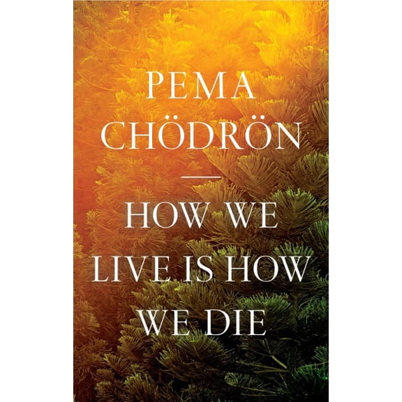 Pre-Owned How We Live Is How We Die, 9781611809244, 161180924X, Hardcover,
