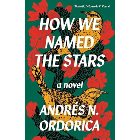 Pre-Owned How We Named the Stars (Paperback) by Andrés N Ordorica
