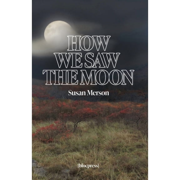 How We Saw the Moon, (Paperback)