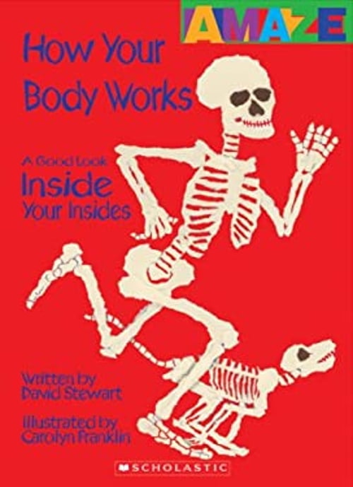 PreOwned How Your Body Works A Good Look Inside You