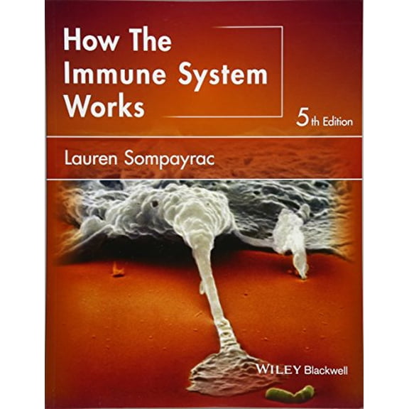 Pre-Owned How the Immune System Works (Paperback) 1118997778 9781118997772