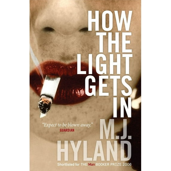 How the Light Gets in (Paperback)