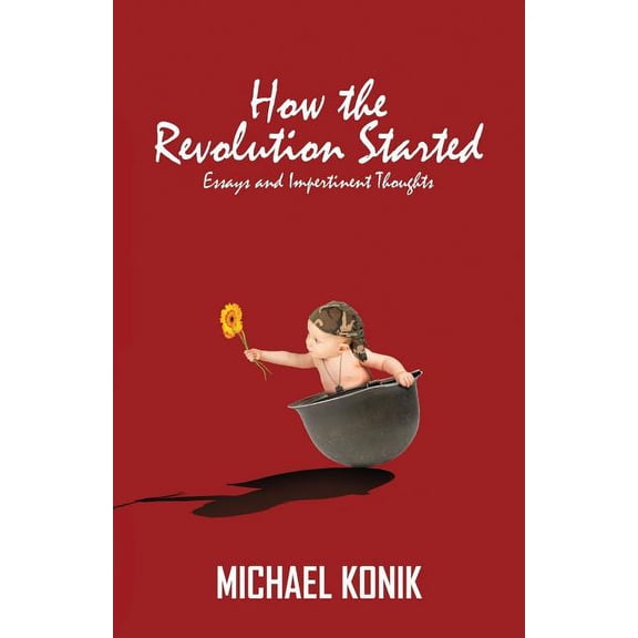 How the Revolution Started: Essays and Impertinent Thoughts Paperback