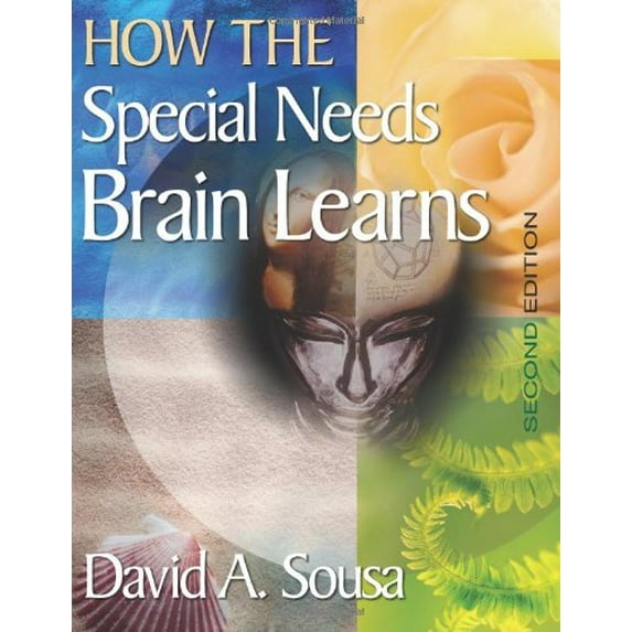 Pre-Owned How the Special Needs Brain Learns (Paperback) 1412949874 9781412949873