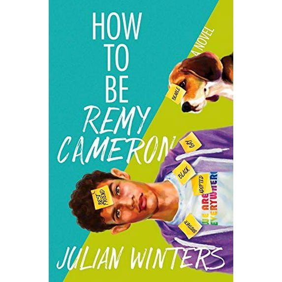 Pre-Owned How to Be Remy Cameron (Paperback) 1945053801 9781945053801