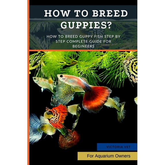 How to Breed Guppies? How To Breed Guppy Fish Step by Step Complete