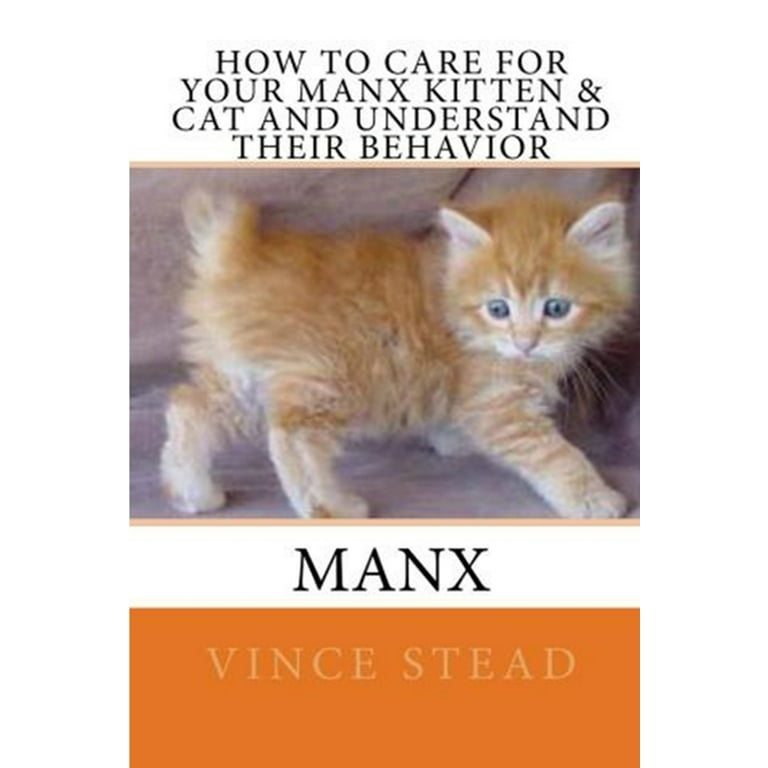 Understanding Manx Cat Behavior: Unique Traits And Care Tips