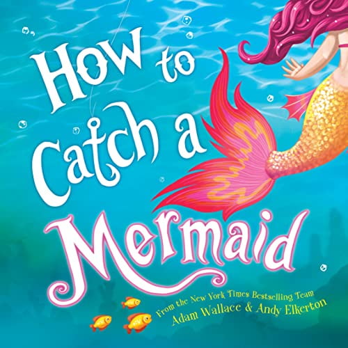 Pre-Owned How to Catch a Mermaid (Hardcover) 149266247X 9781492662471