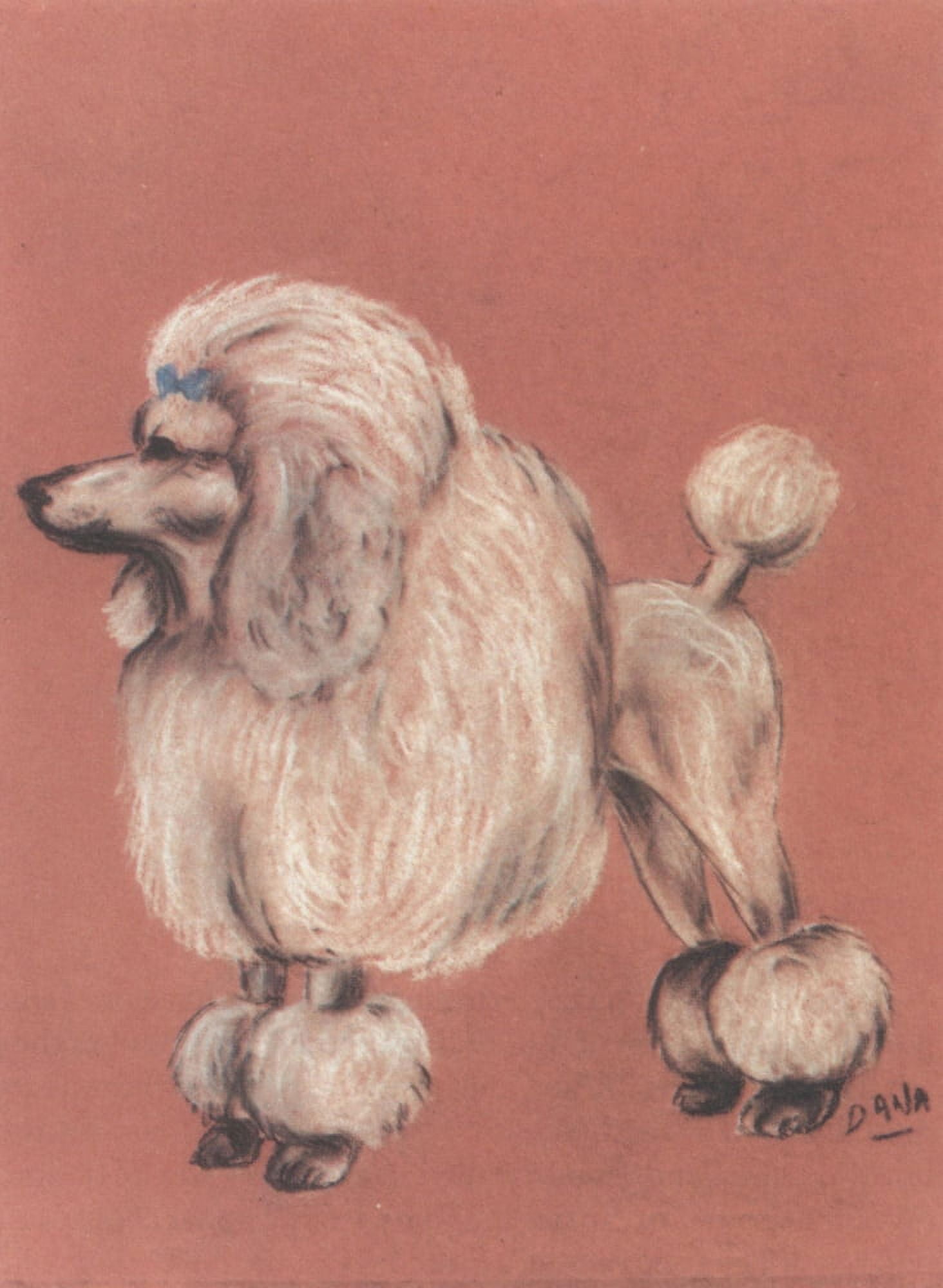 How to Clip a Poodle 1962 Clipped poodle Canvas Art - Dana Miller (24 x 36)