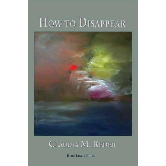 How to Disappear (Paperback)