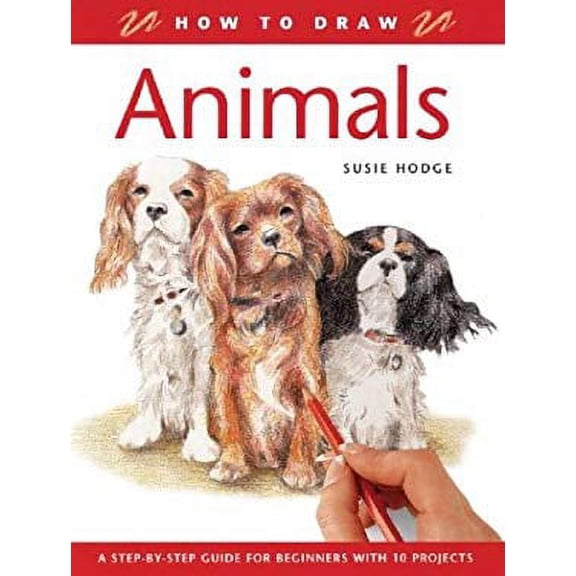 Pre-Owned How to Draw Animals: A Step-By-Step Guide for Beginners with 10 Projects (Paperback) 184330600X 9781843306009
