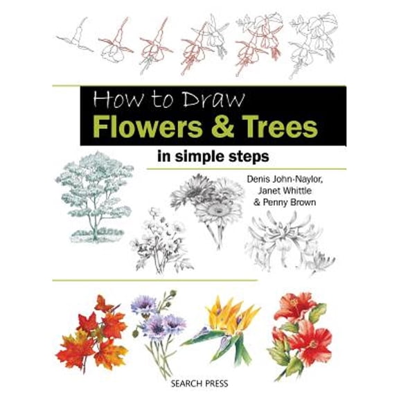 Pre-Owned How to Draw Flowers & Trees in Simple Steps (Paperback) 1844488764 9781844488766