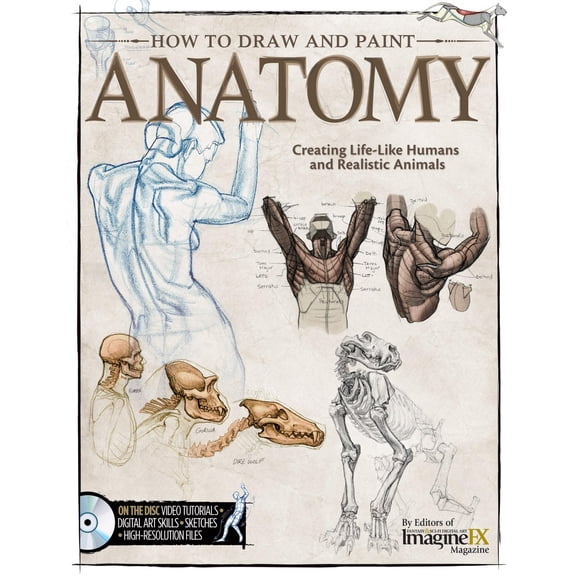 How to Draw and Paint Anatomy: Creating Life-Like Humans and Realistic Animals (Paperback)