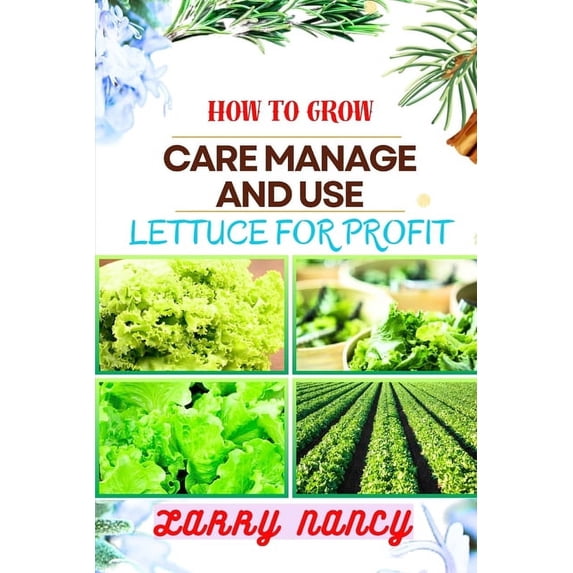 How to Grow Care Manage and Use Lettuce for Profit: A Profitable Guide ...