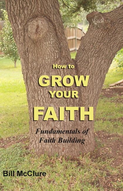 Faith Building How to Grow Your Faith: Fundamentals of Faith Building - Walmart.com