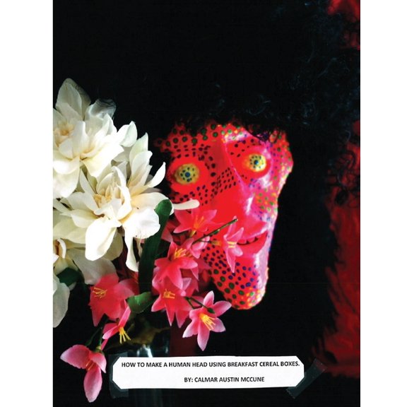 How to Make a Human Head using Breakfast Cereal Boxes (Paperback)