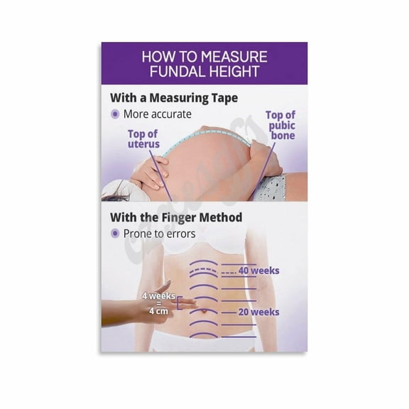 How to Measure Fundal Height Poster Obstetrics Clinic Wall Art Canvas Painting Wall Art