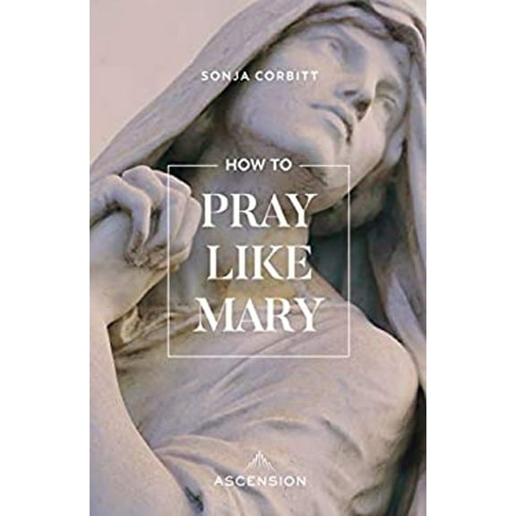 Pre-Owned How to Pray Like Mary (Paperback) 194517949X 9781945179495