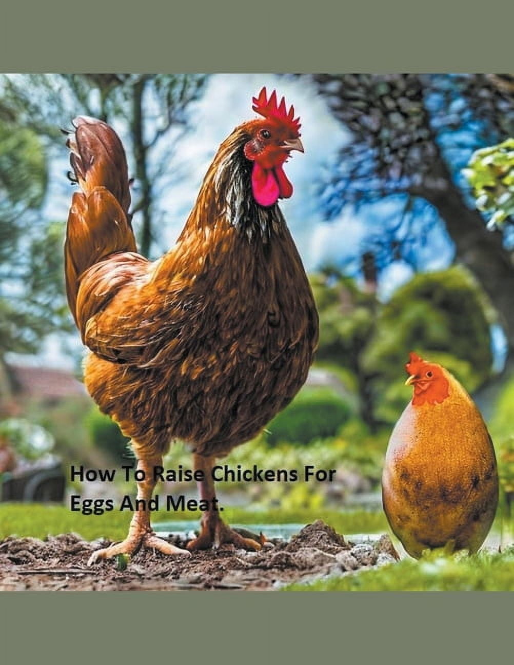 How to Raise Chickens For Eggs and Meat, (Paperback) - Walmart.com