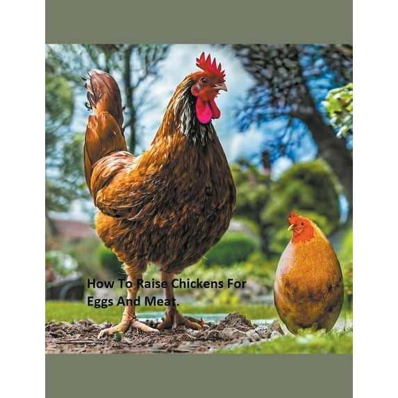 How to Raise Chickens For Eggs and Meat, (Paperback)
