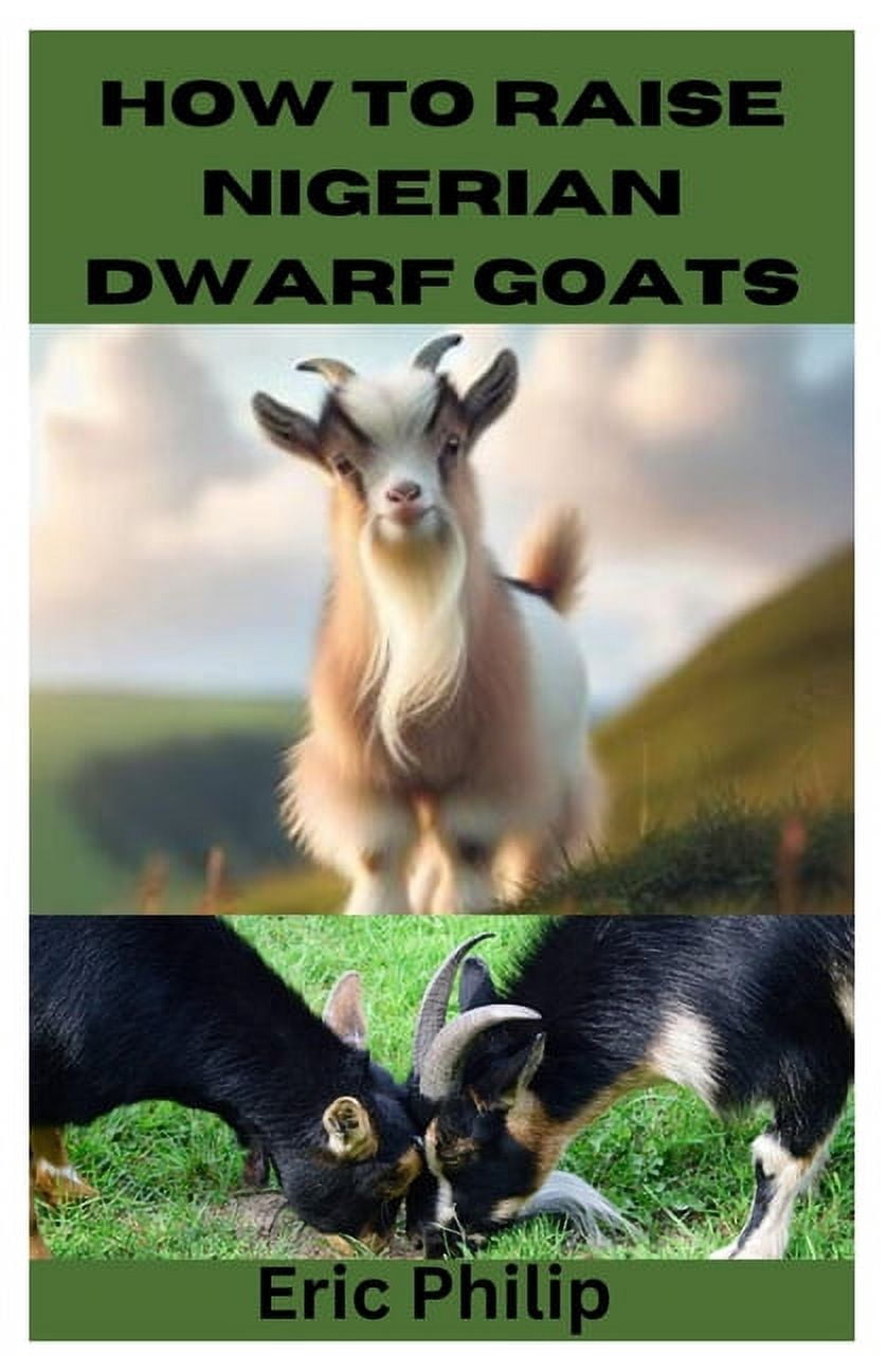 How to Raise Nigerian Dwarf Goats Complete Step By Step