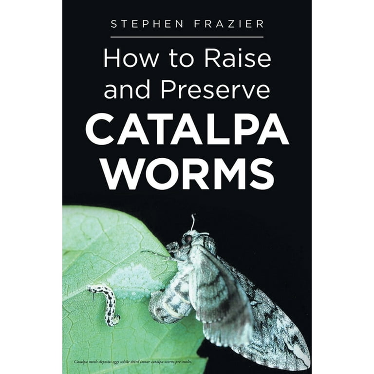 Catalpa Worms Life Cycle