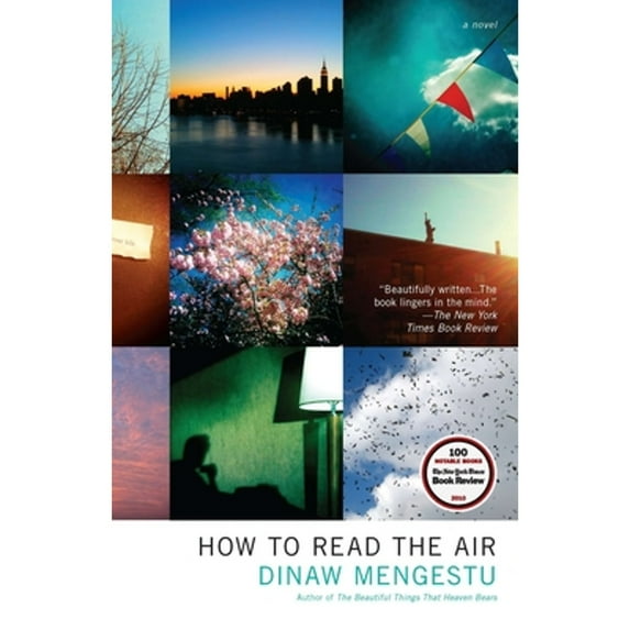 Pre-Owned How to Read the Air (Paperback) 1594485399 9781594485398