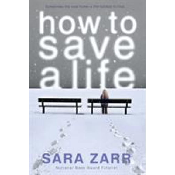 Pre-Owned How to Save a Life (Paperback) 0316036056 9780316036054
