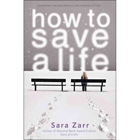 Pre-Owned How to Save a Life (Paperback) 0316036056 9780316036054