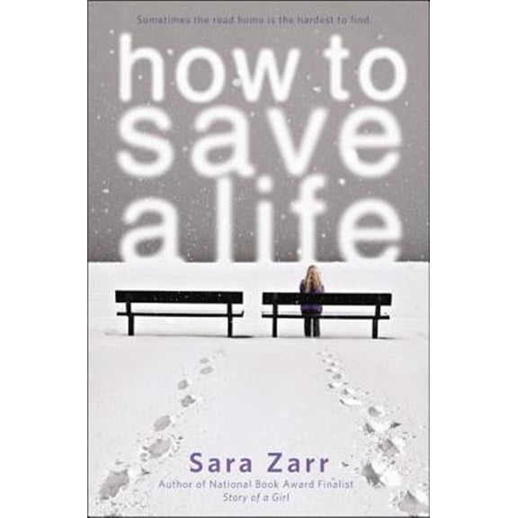 Pre-Owned How to Save a Life (Paperback) 0316036056 9780316036054