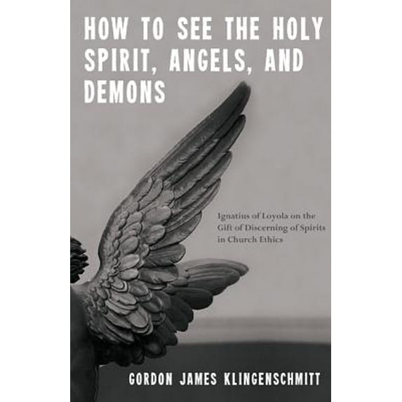 How to See the Holy Spirit, Angels, and Demons: Ignatius of Loyola on the Gift of Discerning of Spirits in Church Ethics (Paperback)