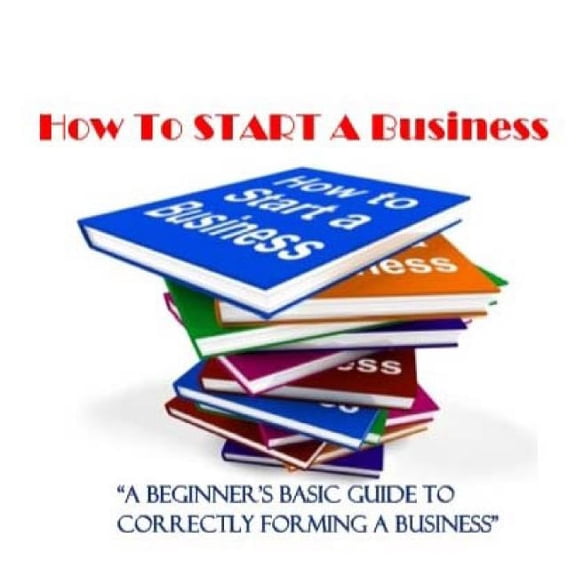 How To Start A Business: A Beginner's Guide to Correctly Forming A Business, Incorporation, LLC and 501 (C) (3), (Paperback)