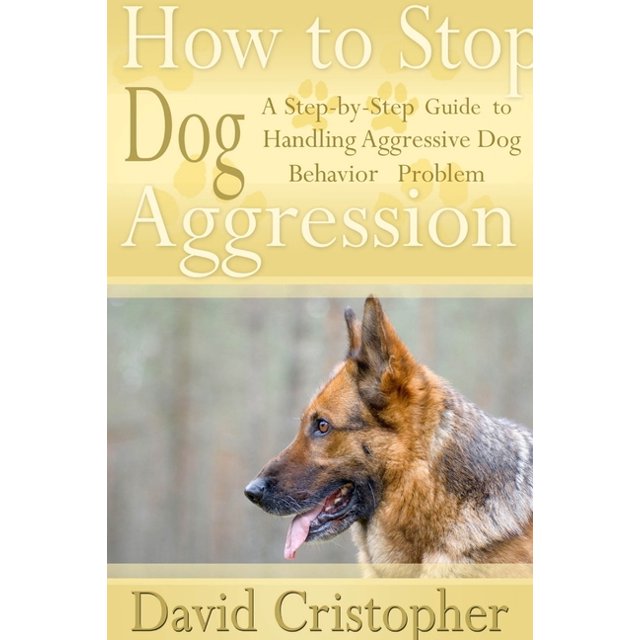 How to Stop Dog Aggression A StepByStep Guide to Handling Aggressive