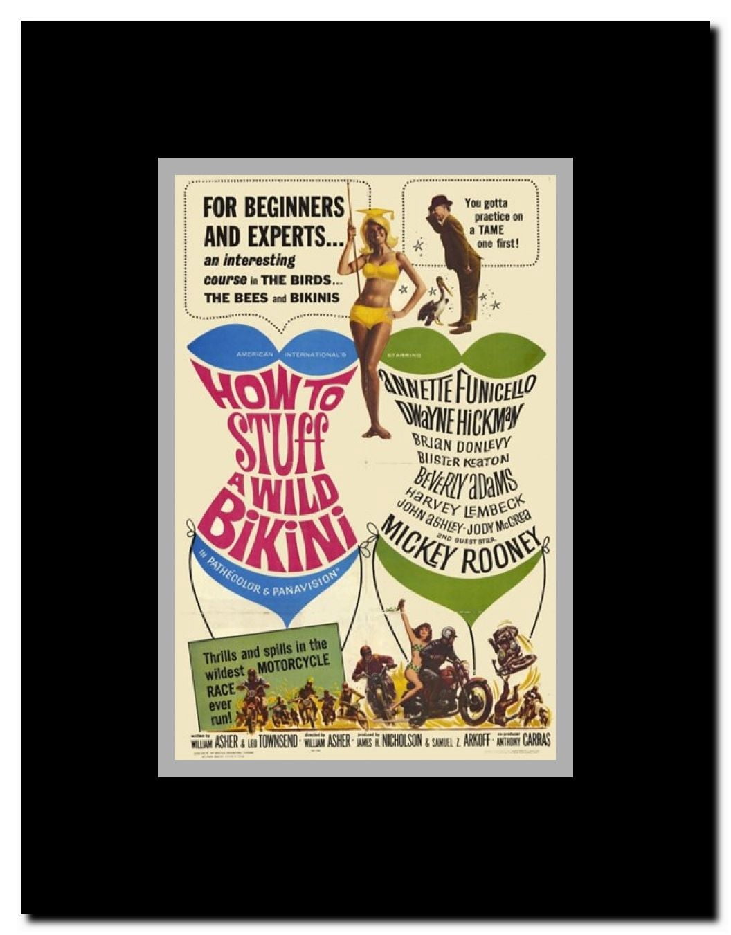 How to Stuff a Wild Bikini Framed Movie Poster