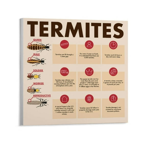 How to Termites Science Poster Canvas Print Wall Art Decoration Poster Living Room Office Bedroom Aesthetic Poster
